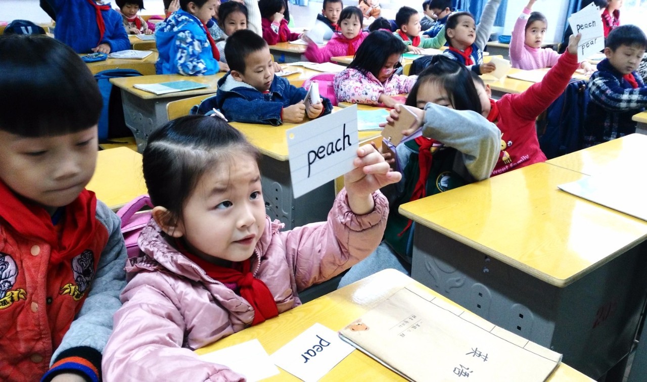 如何爆料学校,百树华联学校现状