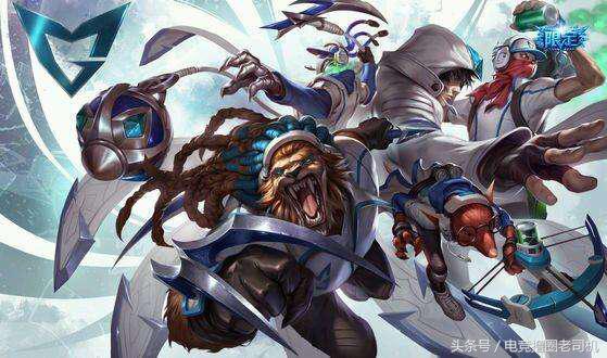 盘点那些没有皮肤玩不下去的英雄,盘点历届冠军皮肤王者