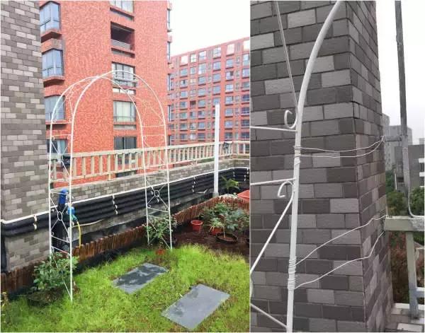 低成本自己改造屋顶花园,自己动手建房子花园