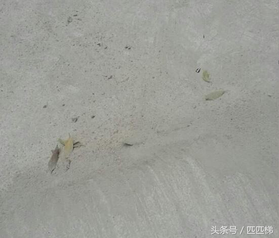 混凝土24小时硬度可以达到多少,农村建房混凝土硬度达不到会怎样