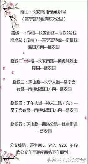 旅游:你知道西安城南的桃花岛、桃花庵在哪里吗?