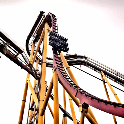 带你玩转长隆动物园,一天玩转长隆欢乐世界和动物园