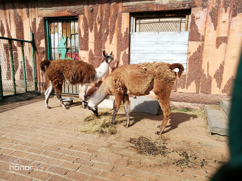 荣耀v9详细介绍,荣耀v9emui9.1哪个版本最流畅