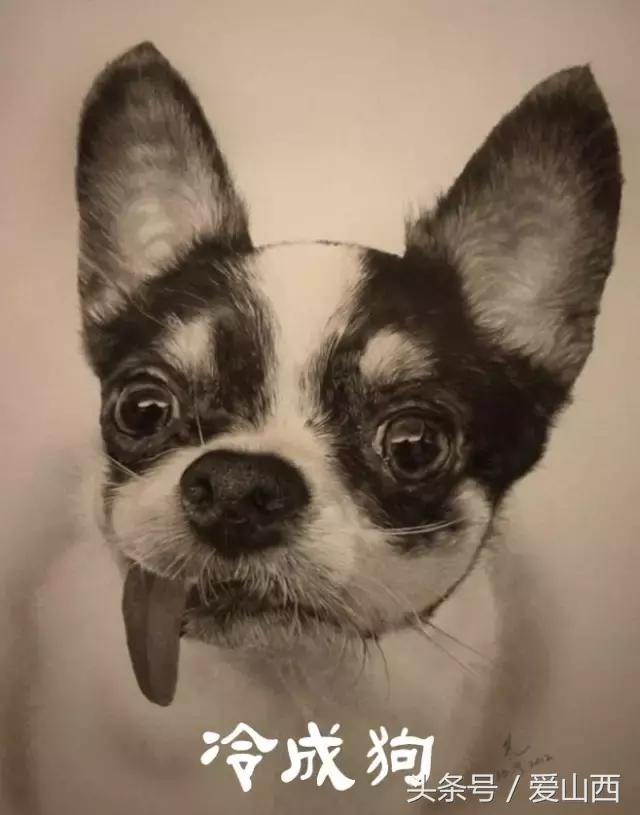 晋景:对不起,我要去榆次了,别再找我了!