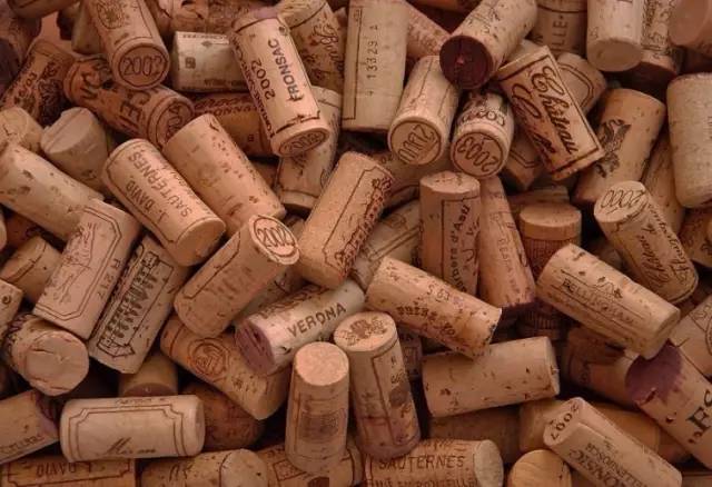 被丢弃的红酒塞遇上了植物,才迎来自己的春天