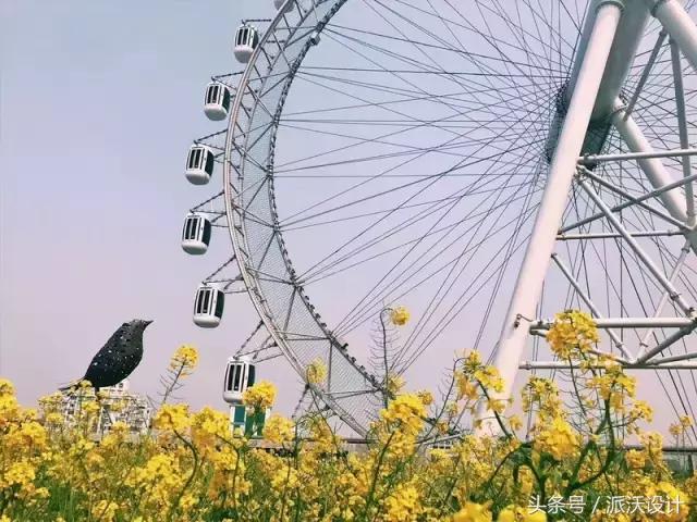 购物中心最新的建筑,购物中心楼顶