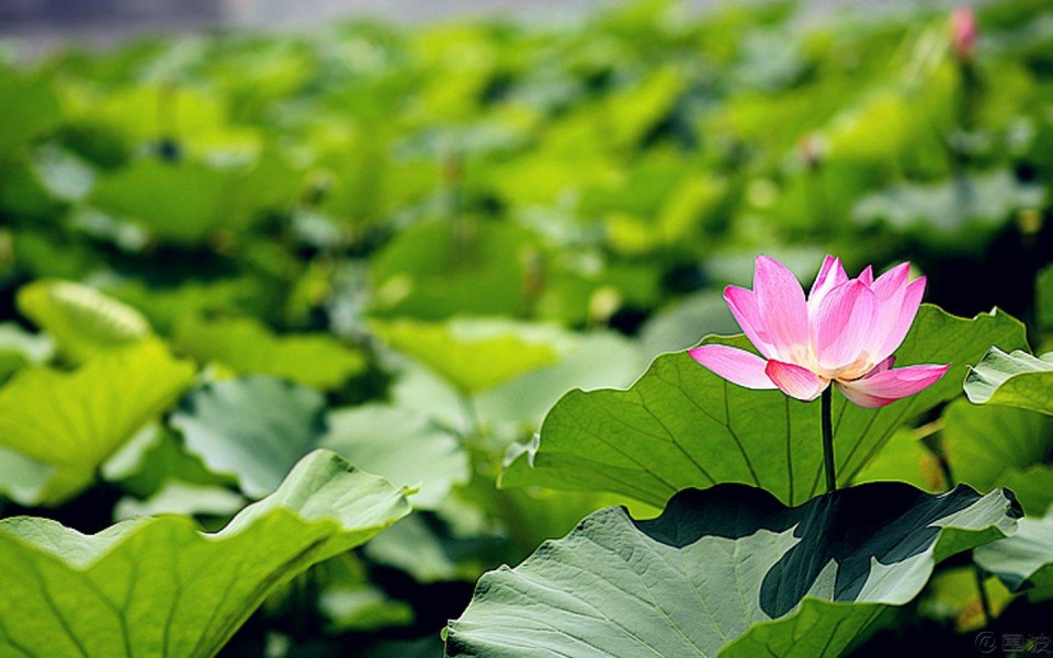 男的用卫生巾是有什么疾病吗,卫生巾男生没有病可以用吗