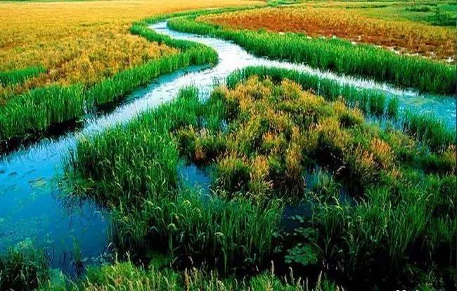 哈尔滨到佳木斯路上好玩的,哈尔滨到佳木斯怎么去最省钱