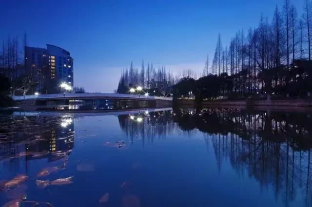 魔都各大高校里竟藏了这么多人少景美的秘密好地方,假期约起来!