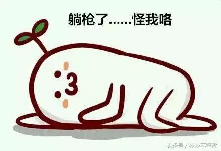 露肉季节的单品,露肉季节单品推荐