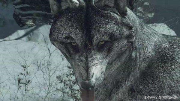 这种小人是恶狼,一定要提高警惕别被坑了都不知道