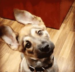 新娘心真大，这是打完游戏再回去拜堂的节奏啊