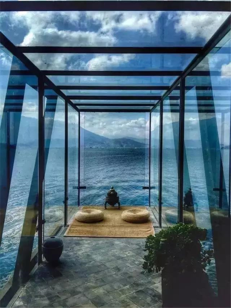 鲁豫和杨丽萍照片,美哭了新疆舞蹈