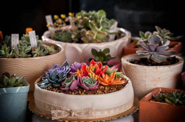 呷食记——甜蜜第二期：蛋糕“倾国倾城”，怎样吃才健康？