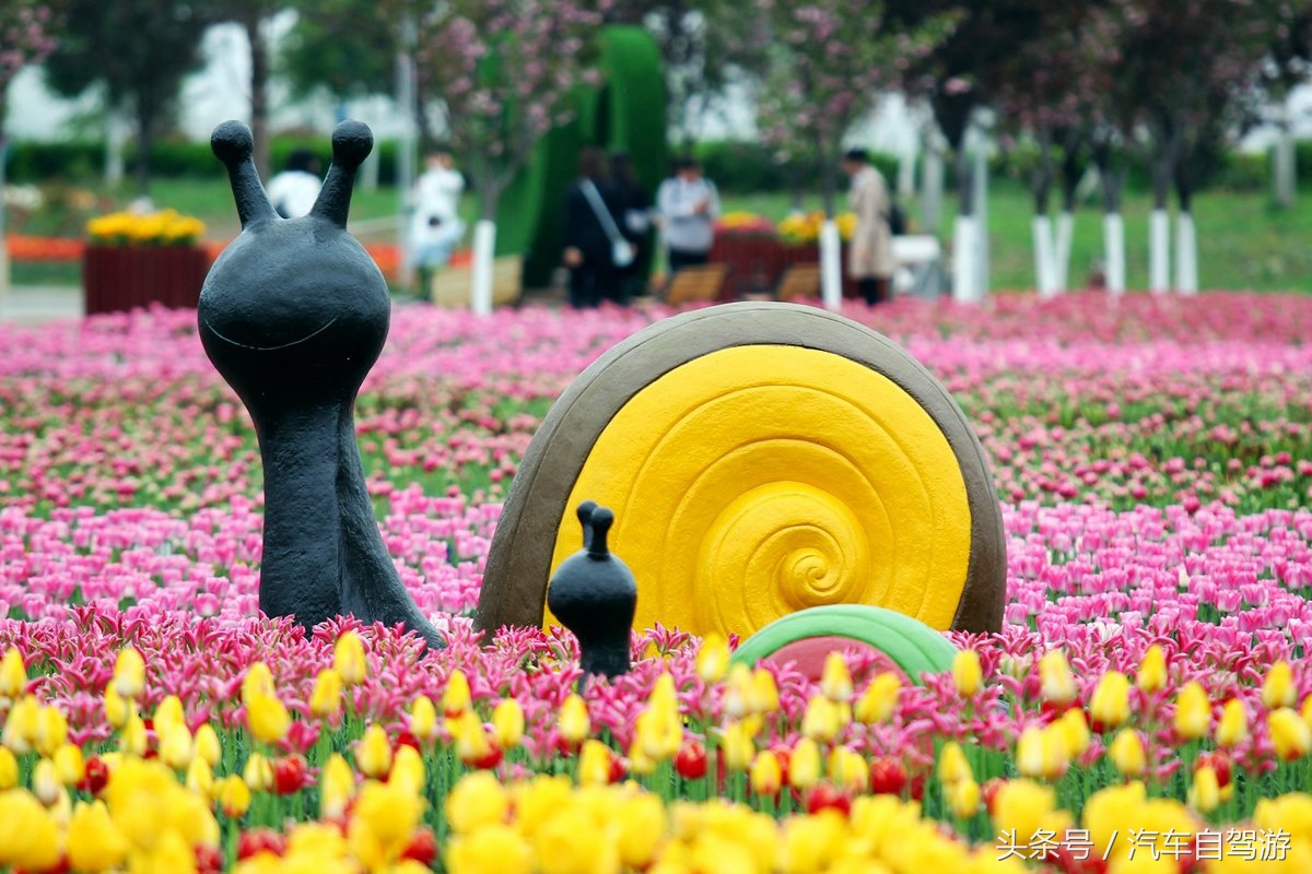 泾阳县城一日游,泾阳县一日游的绝佳去处