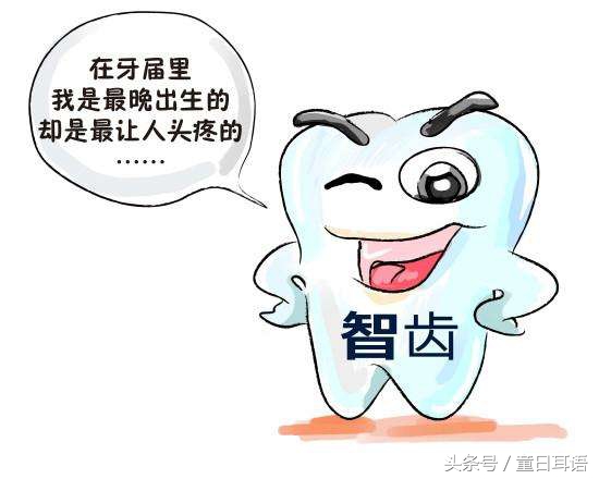 孩子的智齿,小孩智齿怎么处理