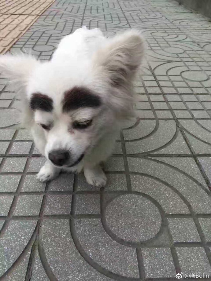 男子骑电瓶车失控撞上路边小哥,男子骑电动车撞上路边停放车受伤