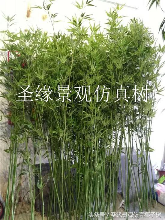 仿真粗竹子植物,似竹子的室内植物