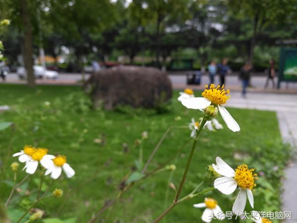 金立m6splus最低价格,金立m6splus的价格