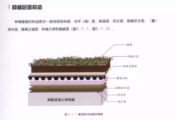 低成本自己改造屋顶花园,自己动手建房子花园