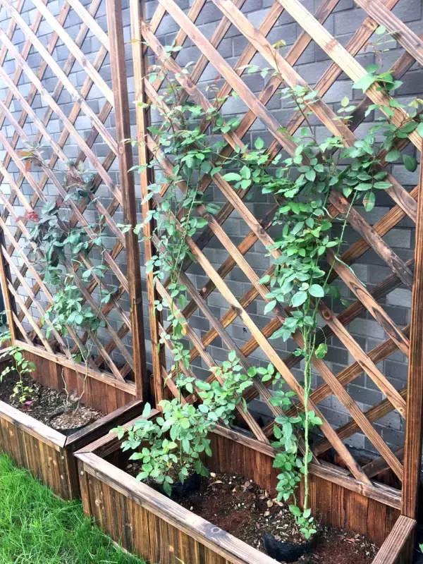 低成本自己改造屋顶花园,自己动手建房子花园