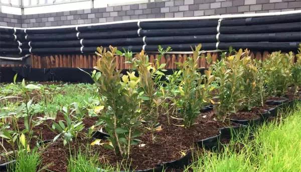 低成本自己改造屋顶花园,自己动手建房子花园