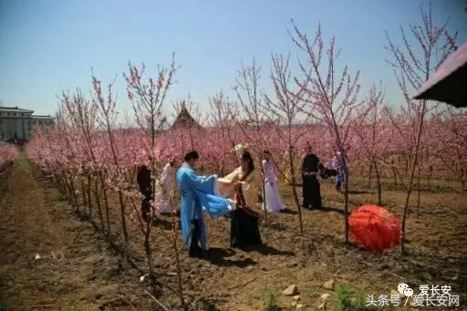 旅游:你知道西安城南的桃花岛、桃花庵在哪里吗?