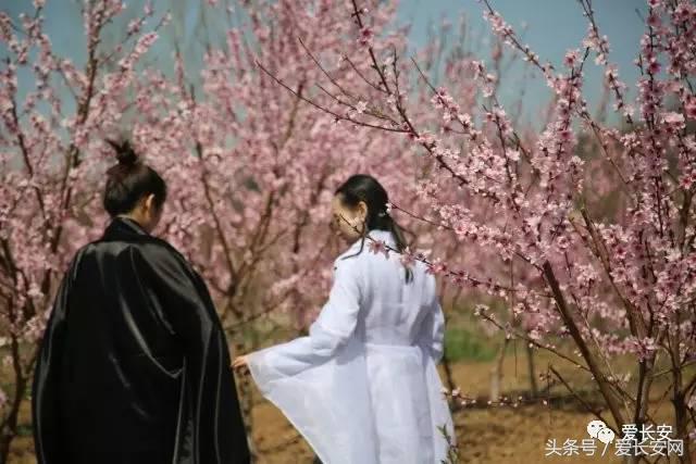 旅游:你知道西安城南的桃花岛、桃花庵在哪里吗?