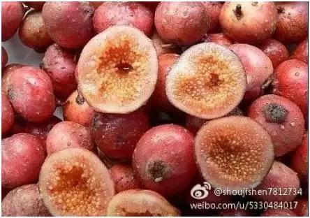 合肥野果治百病,哪些野果吃了最好吃呢