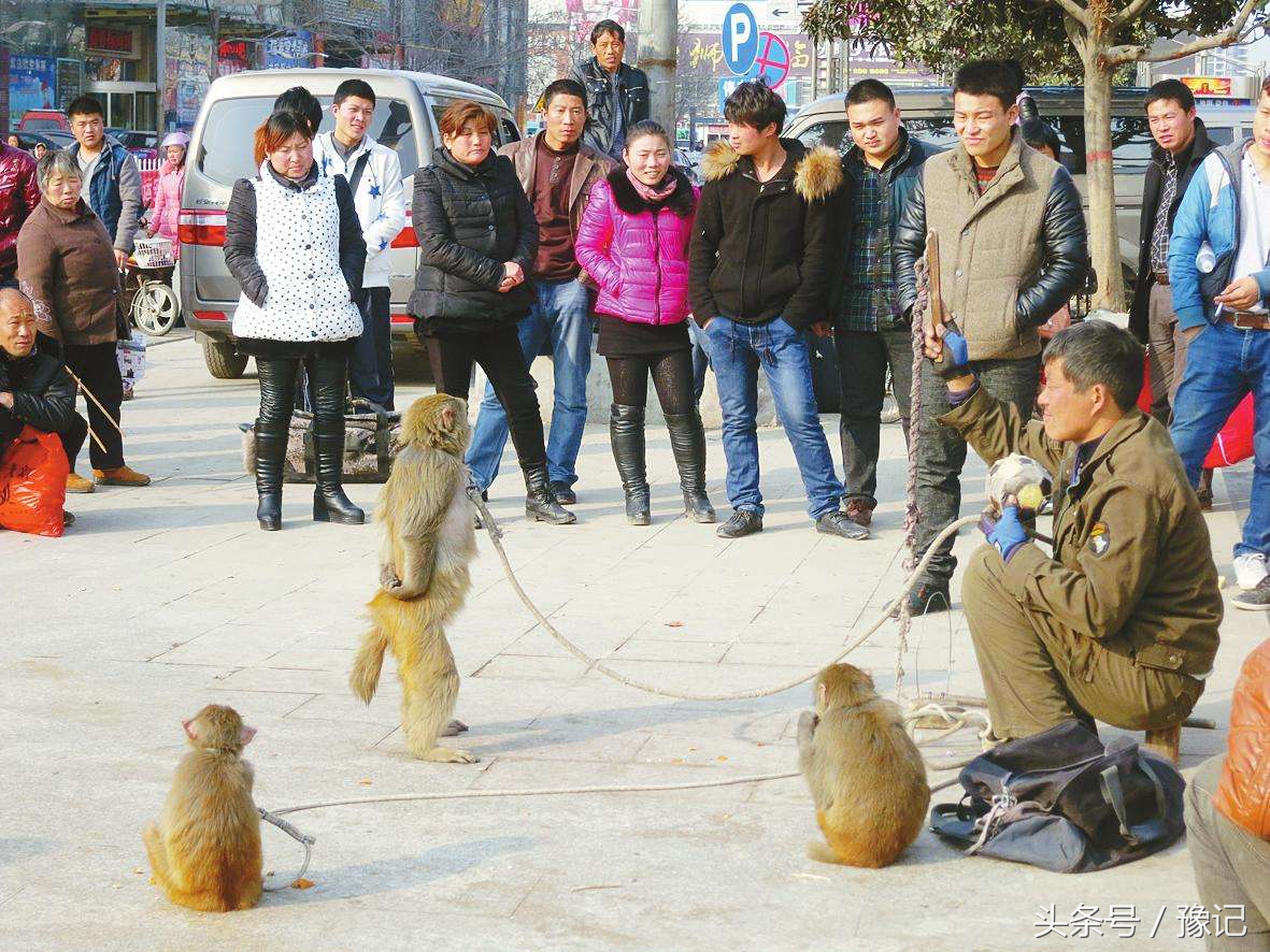 曾记否，在街头，一副沙哑的嗓子和几只猴
