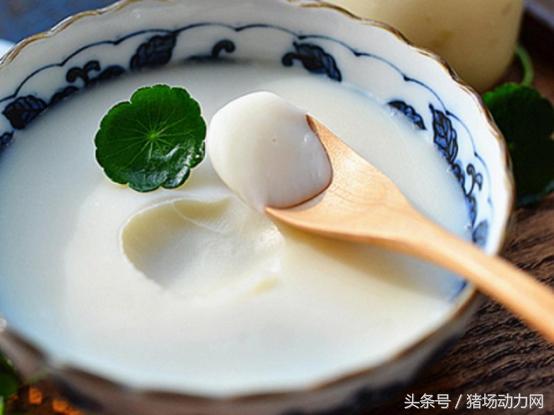 为什么母猪乳房肉不能吃,为什么母猪的肉不能吃