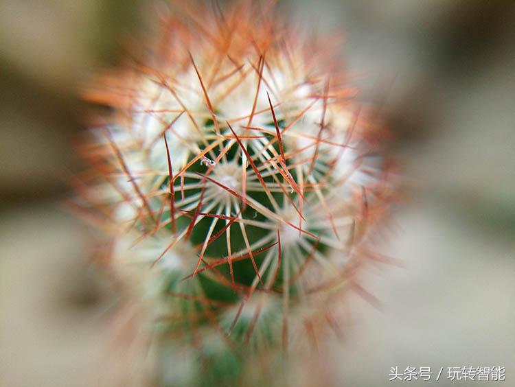 苹果双摄推荐,苹果手机双摄