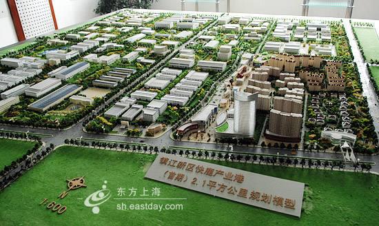 上海施建祥案子,上海施建祥事件