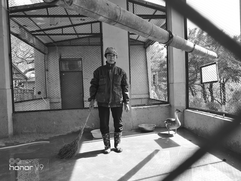 荣耀v9详细介绍,荣耀v9emui9.1哪个版本最流畅