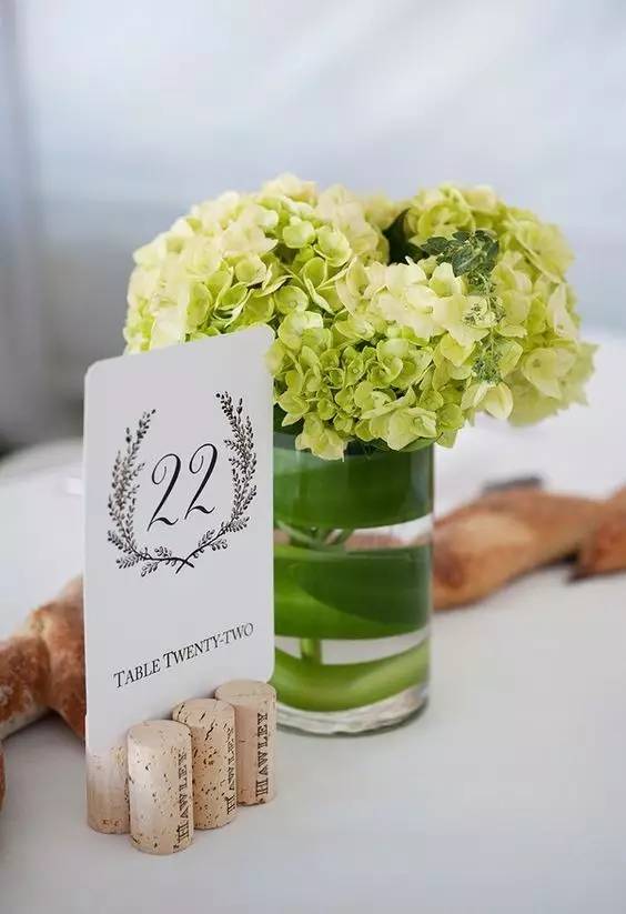 被丢弃的红酒塞遇上了植物,才迎来自己的春天