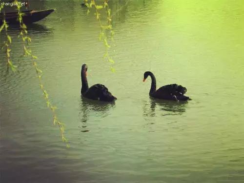 魔都各大高校里竟藏了这么多人少景美的秘密好地方,假期约起来!