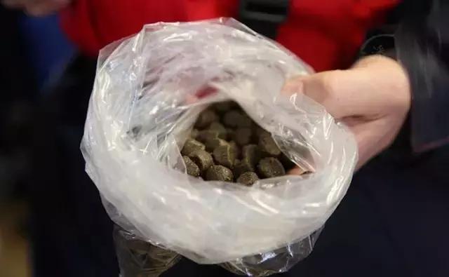 大西洋鲑鱼和挪威三文鱼的区别,我们吃的三文鱼怎么来的