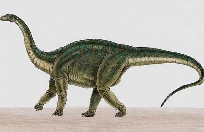 关于恐龙你都知道什么秘密习性,关于恐龙你所不知道的几个真相