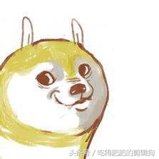 一只胖茶壶的回忆录：我是怎样从3P玩到NP的呢？