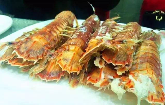 天津渤海皮皮虾,天津最好的皮皮虾