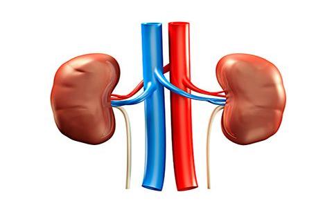 肾功能不全的早期症状和不适表现,肾功能不全的治疗和注意事项