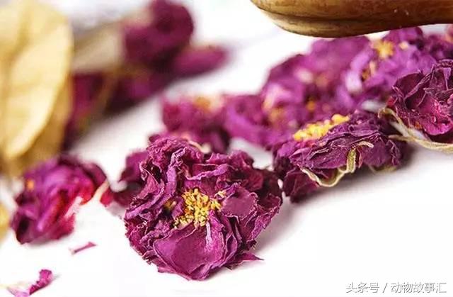 春天肝气郁结喝什么茶,春季疏肝健脾代茶饮