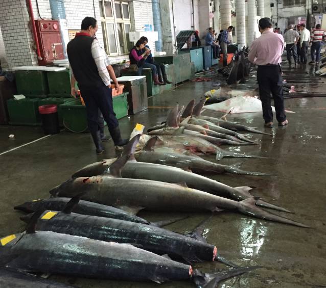 宜兰游记攻略,宜兰旅游攻略美食攻略