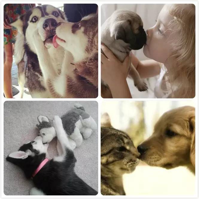 澶氫簭浜嗗ス,澶氫簭浜嗕粬