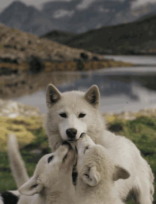 澶氫簭浜嗗ス,澶氫簭浜嗕粬