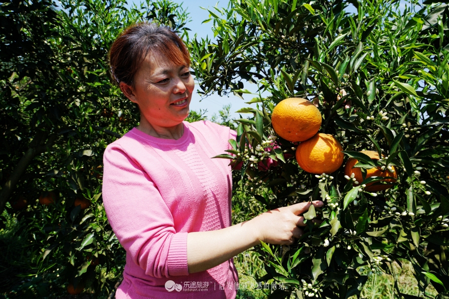 推开石门登一山拜一佛,你就修得了正果