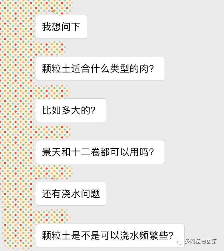 可可酱用法,可可酱日常分享