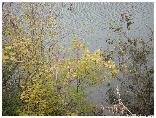 游南山竹海路线,游南山竹海心情说说