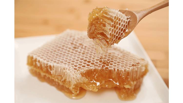 尝一口便是春天的味道,尝一口歌曲