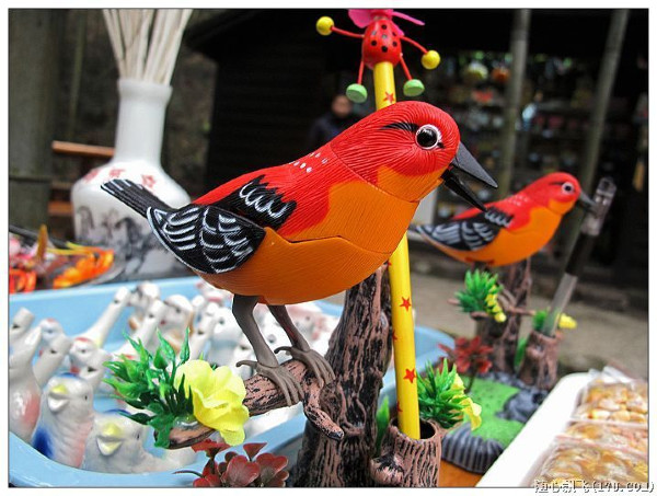 游南山竹海路线,游南山竹海心情说说